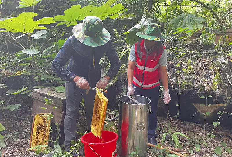 蜂蜜采收2.jpg